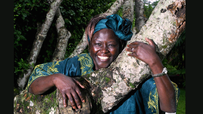 Wangari Maathai: medio ambiente y derecho de las mujeres